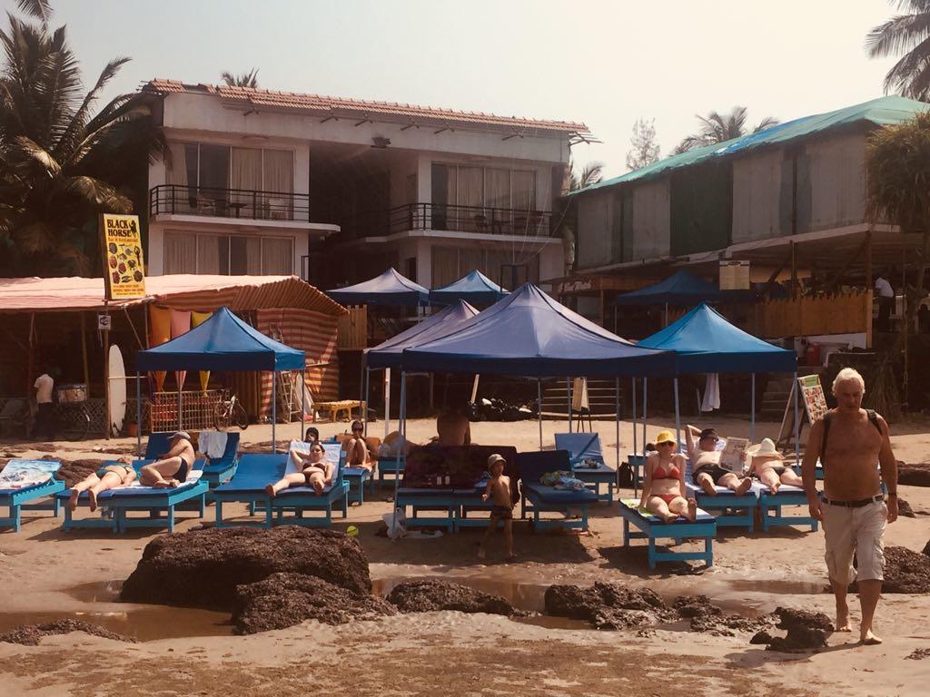 Boomerang Resort Mandrem Ngoại thất bức ảnh